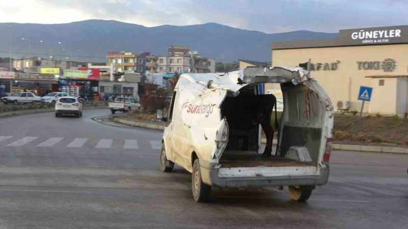 Enkazdan çıkardığı aracıyla boğasını taşıdı!