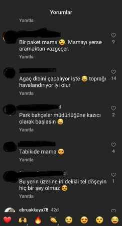 Suçüstü yakalanan köpek yüzleri güldürdü
