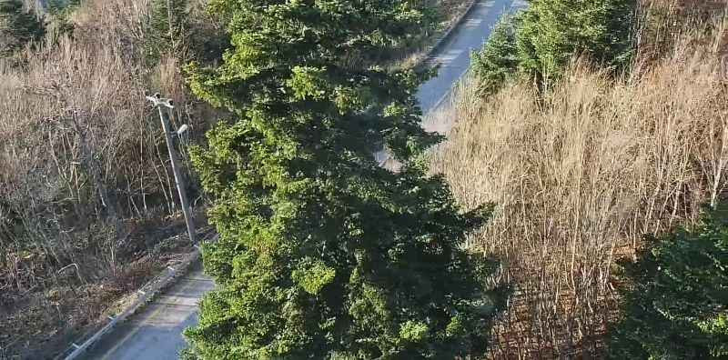 Kartepe’de kar var mı?