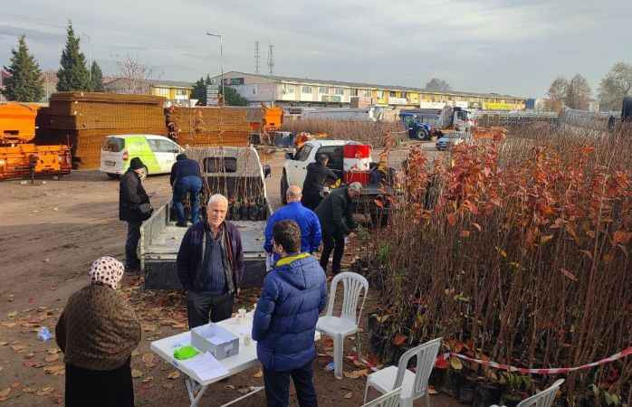 Büyükşehir'in yüzde 50 hibeli meyve fidanı dağıtımı başladı