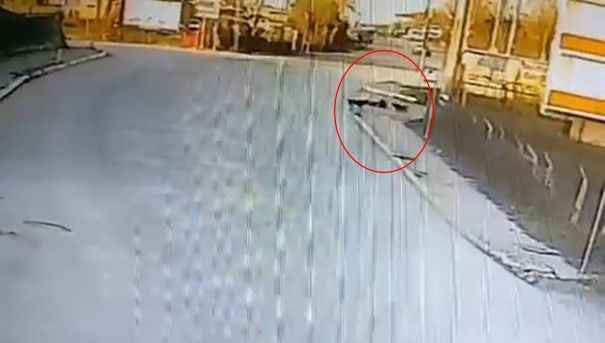 Kocaeli’de okula giden çocuğa köpekler saldırdı