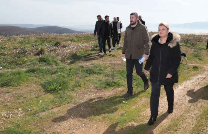 Yeri gösterdi… Sokak hayvanlarına 5 yıl sonra el atıyor