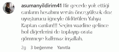 Hürriyet, sokak hayvanları için araziyi incelemişti KOHAYDER’den şok iddia!