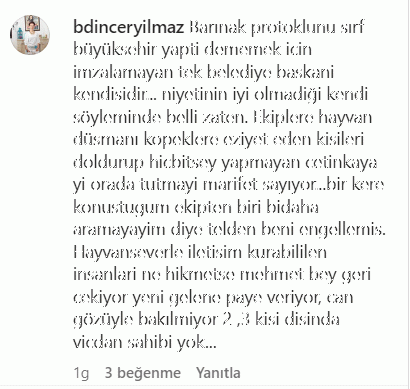 Hürriyet, sokak hayvanları için araziyi incelemişti KOHAYDER’den şok iddia!