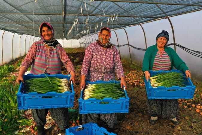 Kocaeli’de anahtar teslimi yüzde 50 hibeli destek