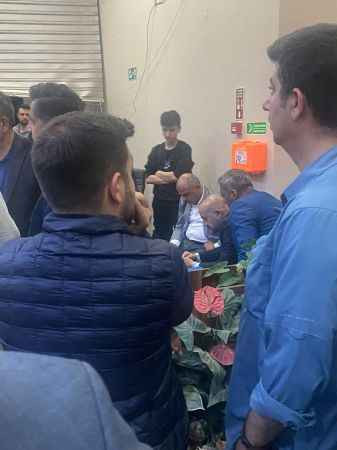 Körfez karıştı! Yıldızlı: Trafolara kedi giriyor!
