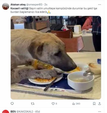 Kocaeli Valiliği o kararla sosyal medyanın gündemine oturdu!