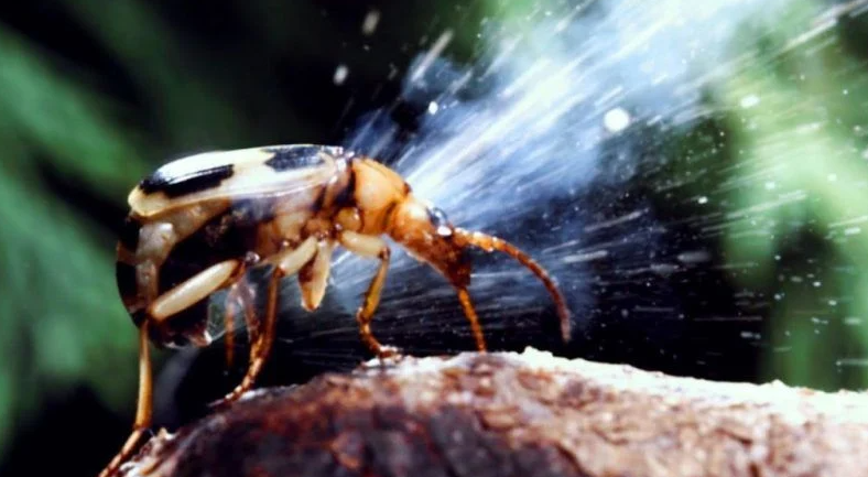 Kocaeli milletvekili paylaştı, herkes bu mesleği araştırıyor: Entomolog nedir? Tarımdan, cinayetlere kadar…