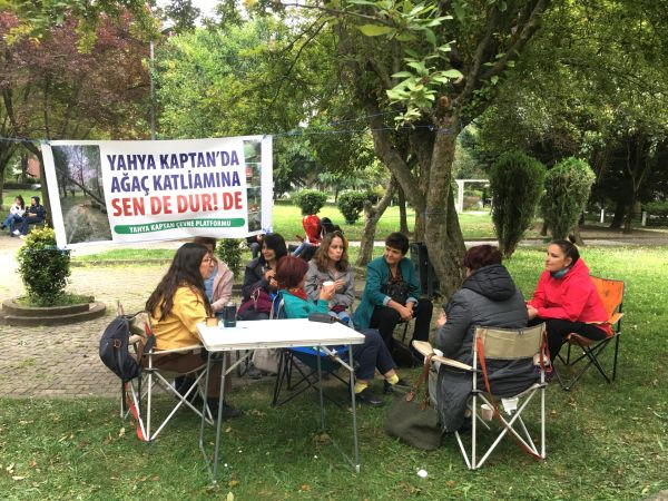 Ağaç katliamına karşı imza kampanyası başlattılar