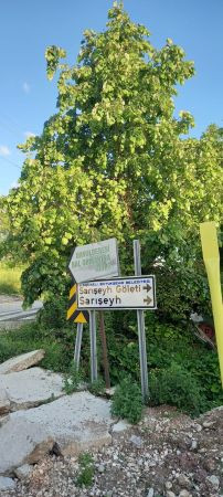 Kim “dur” diyecek? Bu gölet babanızın malı mı?