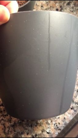 Kepek sanmıştı, hareket etmeye başladı, İzmitli vatandaş mikroskop ile bakınca şok oldu!