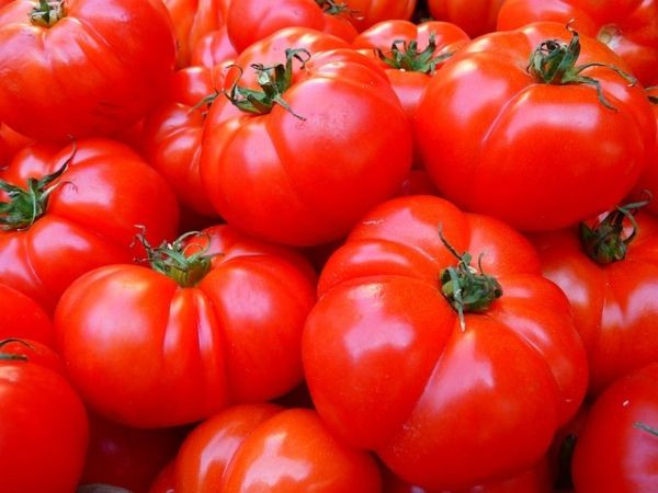 Domates seçerken nelere dikkat edilmeli? İşte kaliteli domates seçmenin yolları
