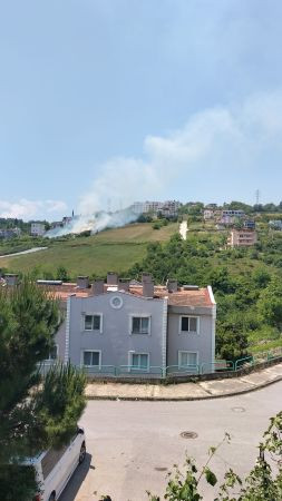 İzmit’te ağaçlık alanda yangın!