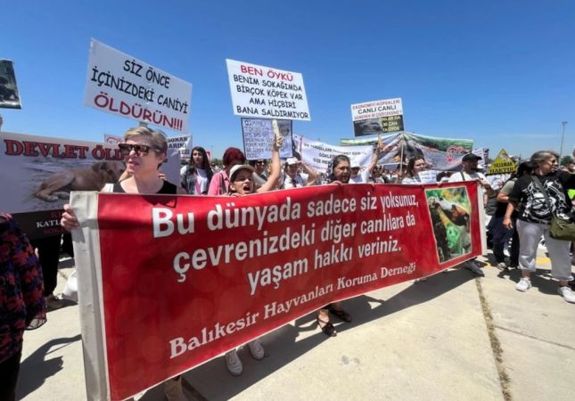 Vicdanın sesi alanlardan yükseldi