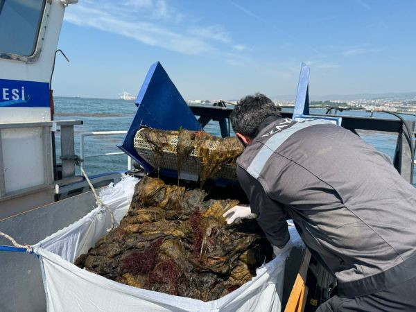 Körfez’den tam 7 bin 950 metreküp deniz çöpü çıktı!