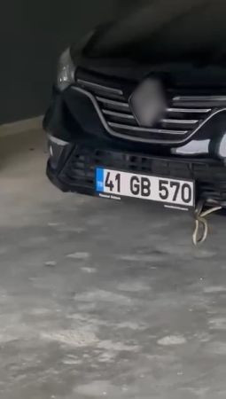 Havalar ısınınca ortaya çıktılar: Uzmanından yılan açıklaması