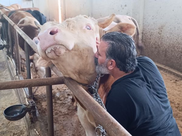 Tunceli’nin ‘Paşa’sının benzeri çok az, kilosu şok etti