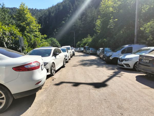 Kurbanı kesen Çınarlıdereye aktı