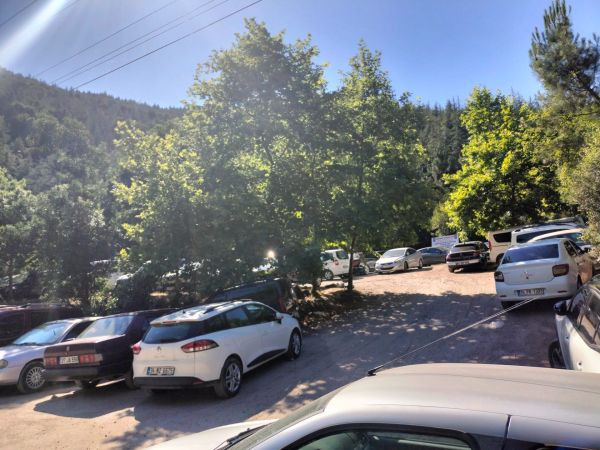 Kurbanı kesen Çınarlıdereye aktı