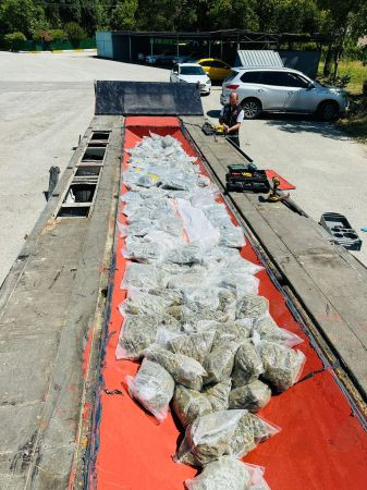 Durdurulan tırda kilolarca skunk ele geçirildi