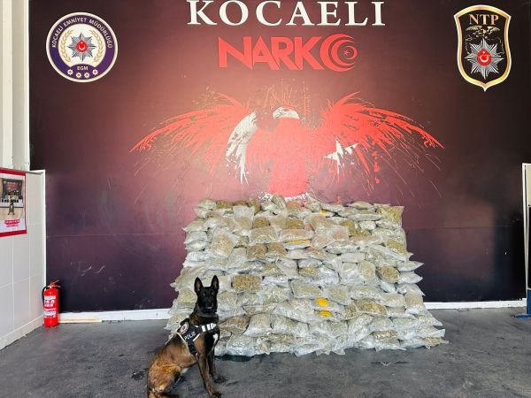 Durdurulan tırda kilolarca skunk ele geçirildi