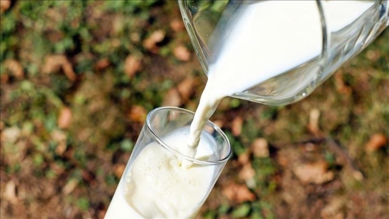 Türkiye'nin süt devi iflasın eşiğine geldi. 44 bin metrekarelik üretim alanı bulunuyordu