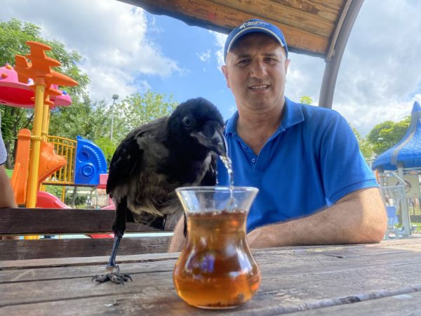 Kocaeli’deki o kuş görenleri hayrete düşürdü