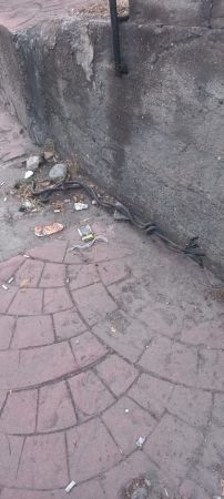 İzmit’te bu ihmal canlara mal olur!