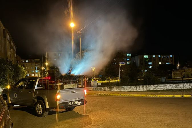 Tüm ilçe ilaçlanıyor