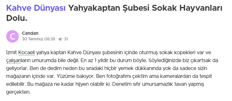 İzmit’te sokak köpeklerine kapı açan kafeyi şikayet etti!