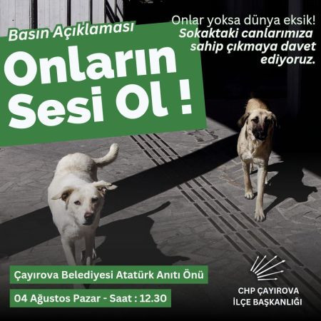 CHP Çayırova sokak köpekleri için harekete geçti!