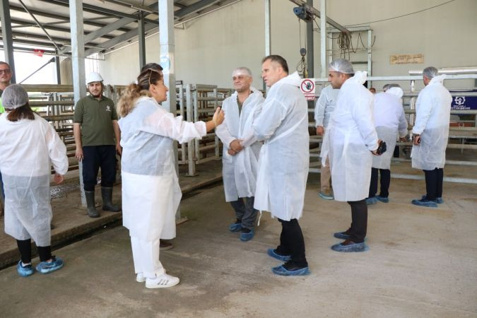 Büyükşehir'in modern mezbahasına ziyaret