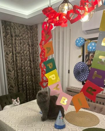 CHP’li Yaprak Fidancı kedisine doğum günü partisi yaptı