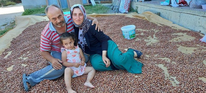 Kandıralı fındık üreticileri endişeli