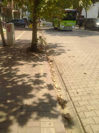 Alikahya esnafı rahat bir nefes aldı!