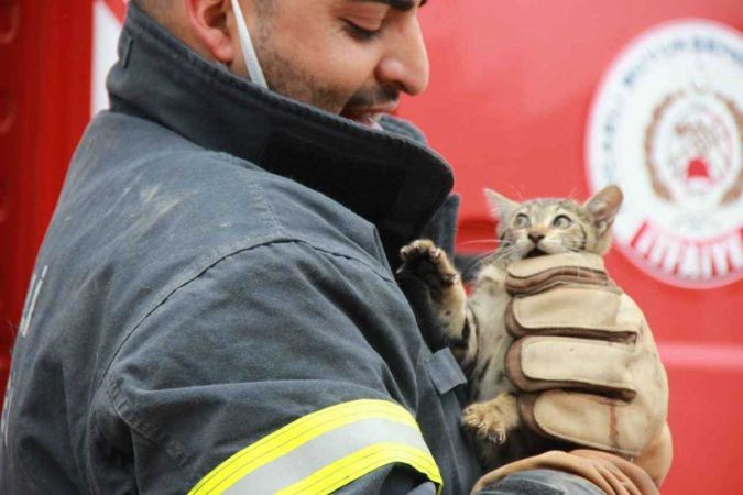 Kocaeli’de kurtarılan patili dostlarımızın sayısı mutlu etti!