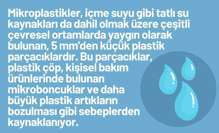 Plastik şişeden su içen erkeklerin sperm kalitesi düşüyor