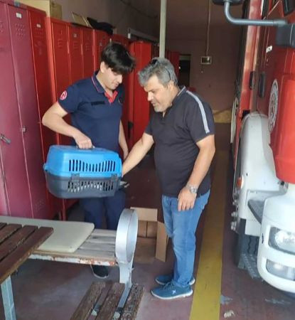 Yaralı leyleğin kurtarılması yüzleri güldürdü!