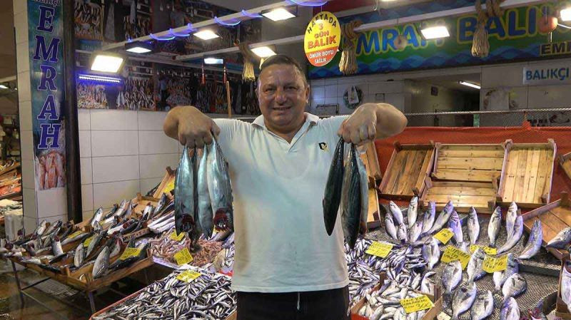 Bu sene adeta bir balık bayramı olacak