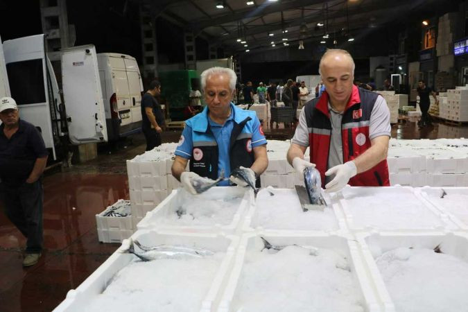 Bakanlıktan Ereğli Balık Hali'nde sıkı denetim