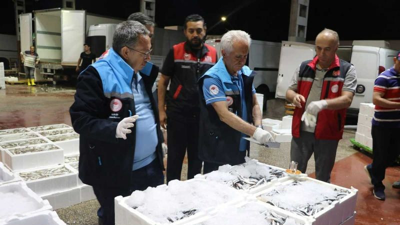 Bakanlıktan Ereğli Balık Hali'nde sıkı denetim