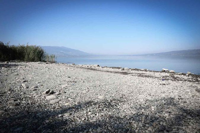 Sapanca’da korkutan görüntü