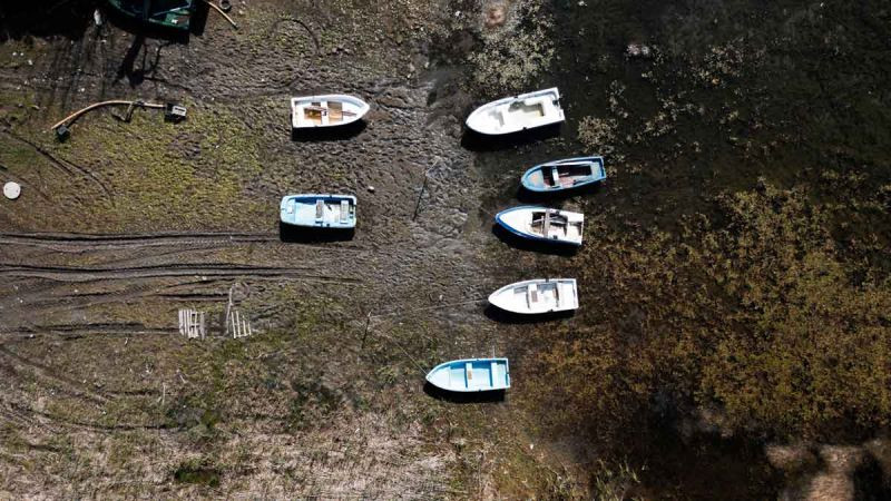Sapanca’da korkutan görüntü