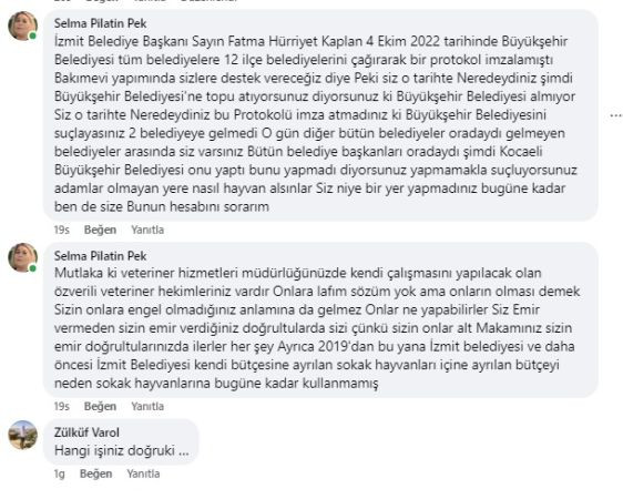 İzmit Belediyesinin topu direkten döndü! Hayvansever dernek başkanından sert tepki!
