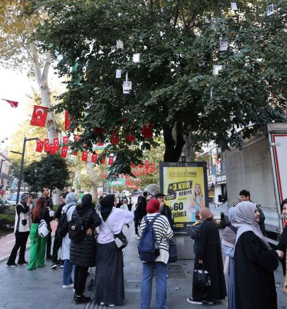 Kocaeli'de ağaçlar kitap açtı