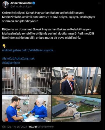 AKP’li Başkan dün katliamın yaşandığı barınağa gitmiş!