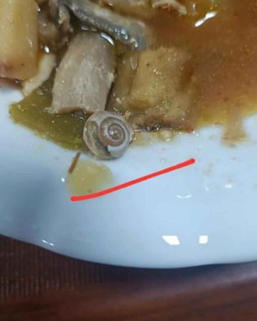 Kocaeli KYK’daki mide bulandıran olayı İYİ Partili başkan gözler önüne serdi