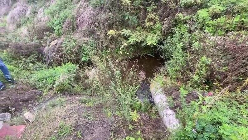 Sakarya ve Kocaeli'nin içme suyu kaynağında korkunç alarm!