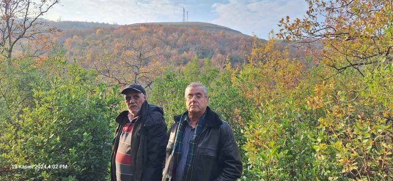 Çöp tesisi için '50 bin ağaç kesilecek' iddiası