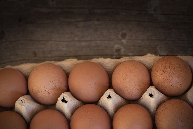 Kocaeli’de tavuklar, “ZAM” yumurtladı! Yumurtaya 1 ayda uçuk zam!
